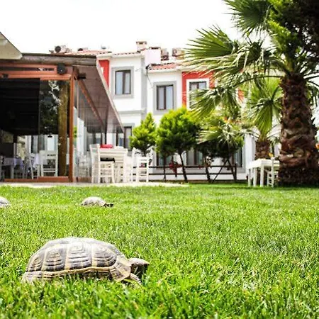 Lavinya Hotell
