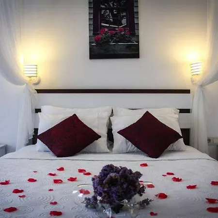 Lavinya Hotell 3*